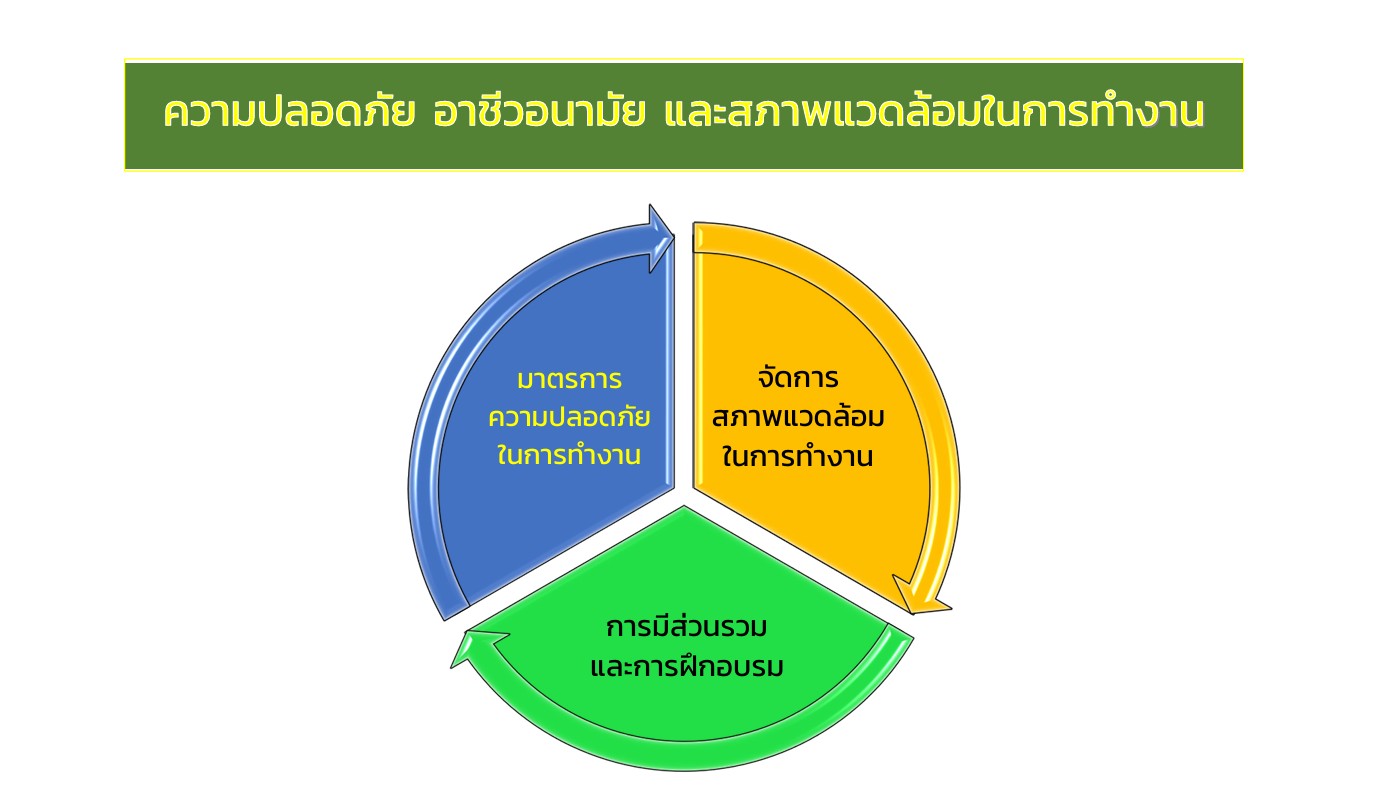 S__165822572.jpg
